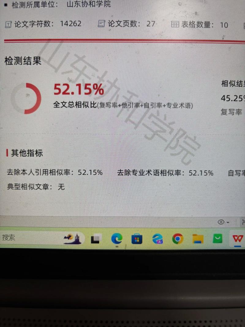 论文查重：从学术规范到数据安全